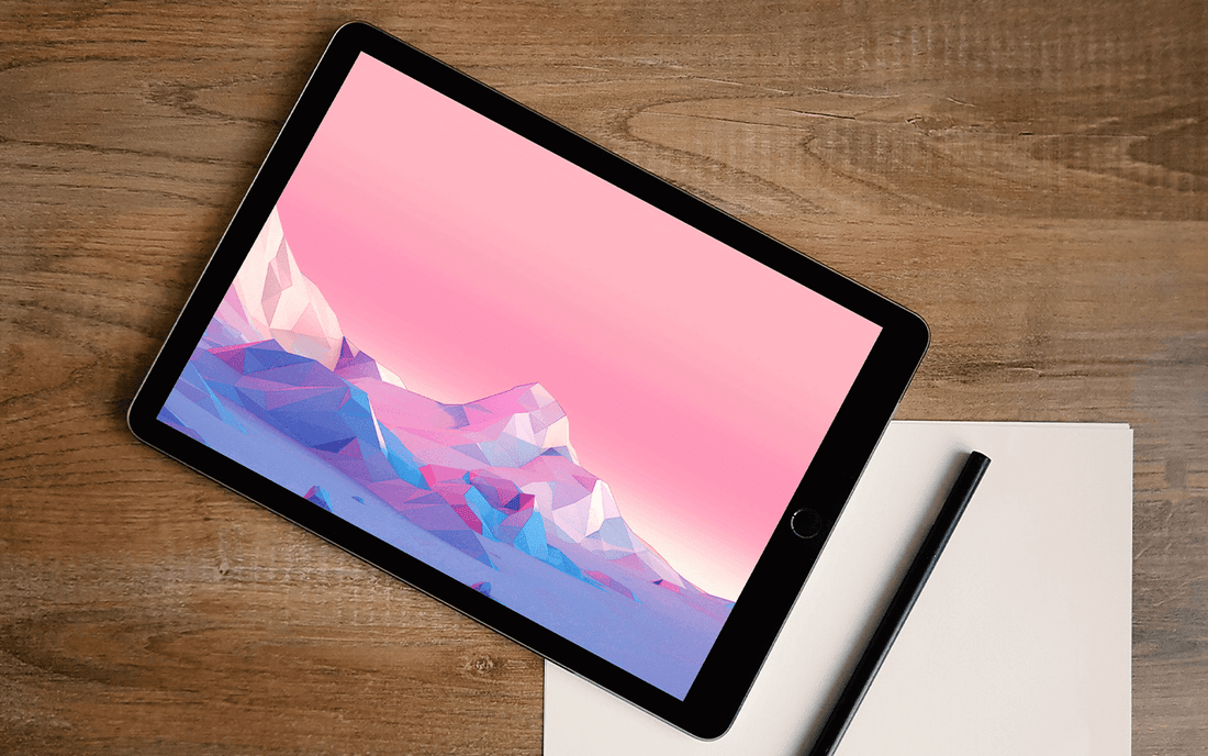 iPad Pro 11 inch case