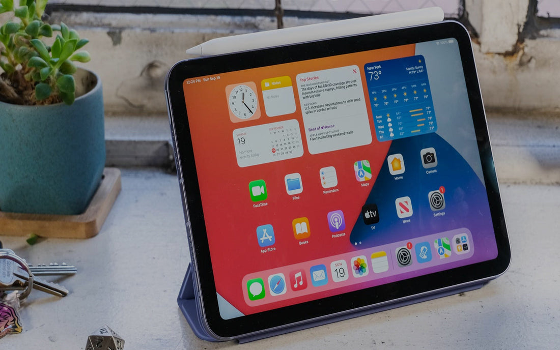 iPad Case